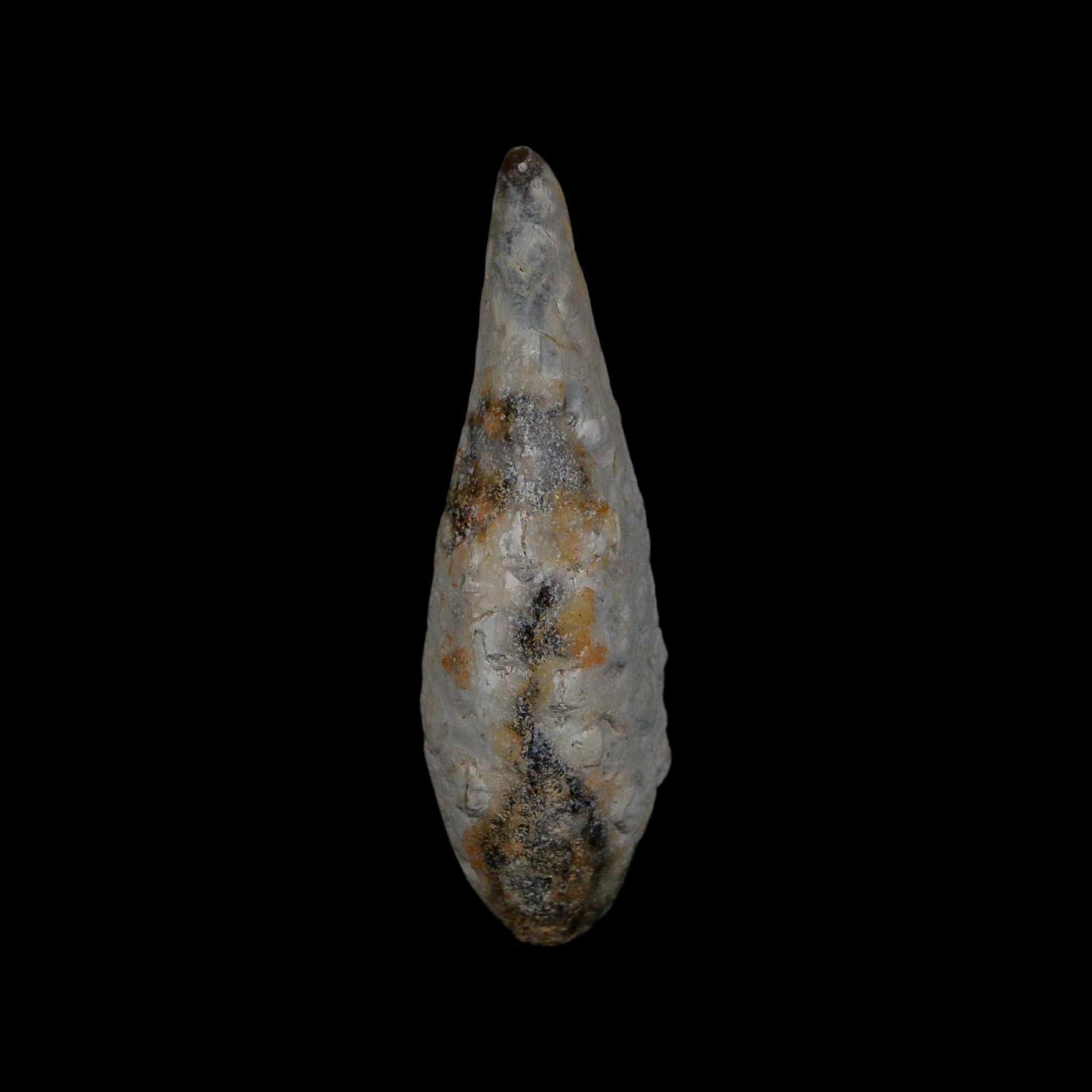 XL 2.1" Fossil Pine Cone Equicalastrobus Replaced By Agate Eocene Age Seeds Fruit - Fossil Age Minerals