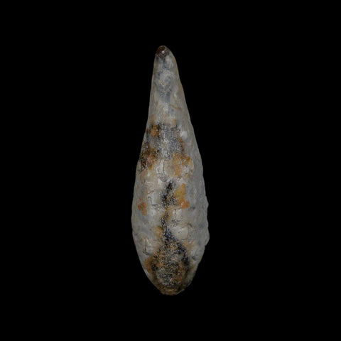XL 2.1" Fossil Pine Cone Equicalastrobus Replaced By Agate Eocene Age Seeds Fruit