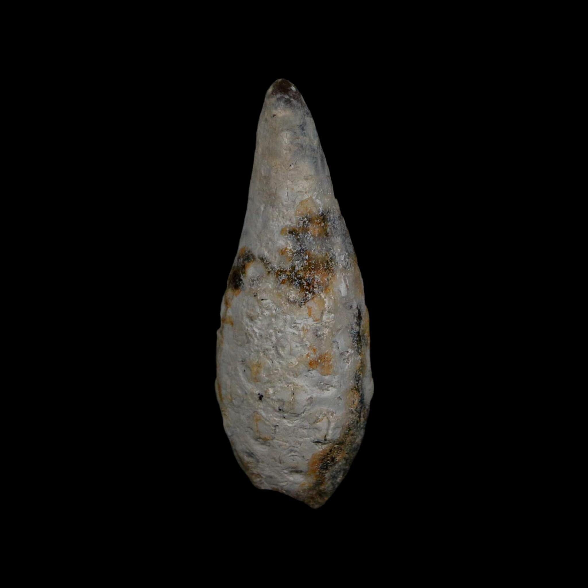 XL 2.1" Fossil Pine Cone Equicalastrobus Replaced By Agate Eocene Age Seeds Fruit - Fossil Age Minerals