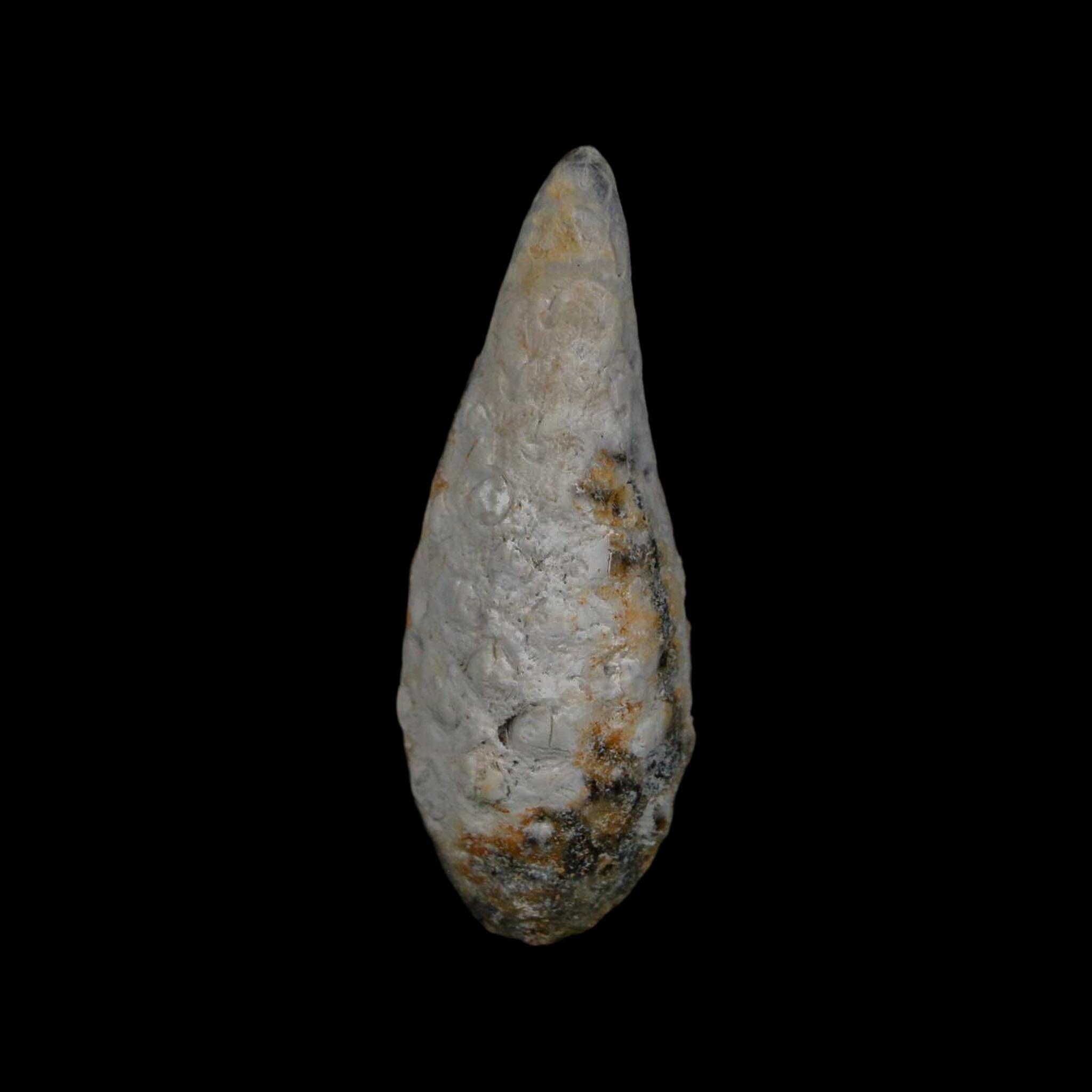 XL 2.1" Fossil Pine Cone Equicalastrobus Replaced By Agate Eocene Age Seeds Fruit - Fossil Age Minerals