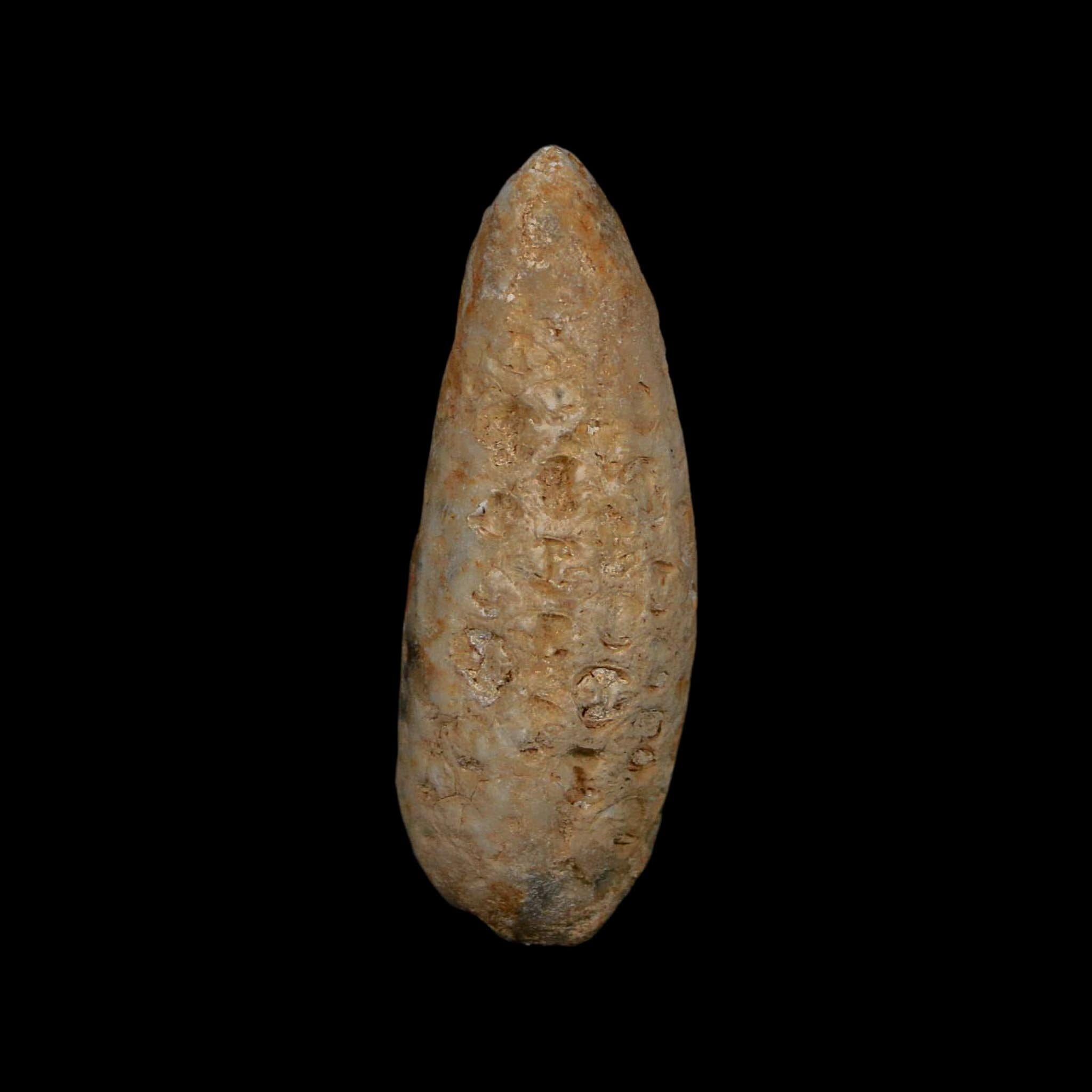 XL 2" Fossil Pine Cone Equicalastrobus Replaced By Agate Eocene Age Seeds Fruit - Fossil Age Minerals