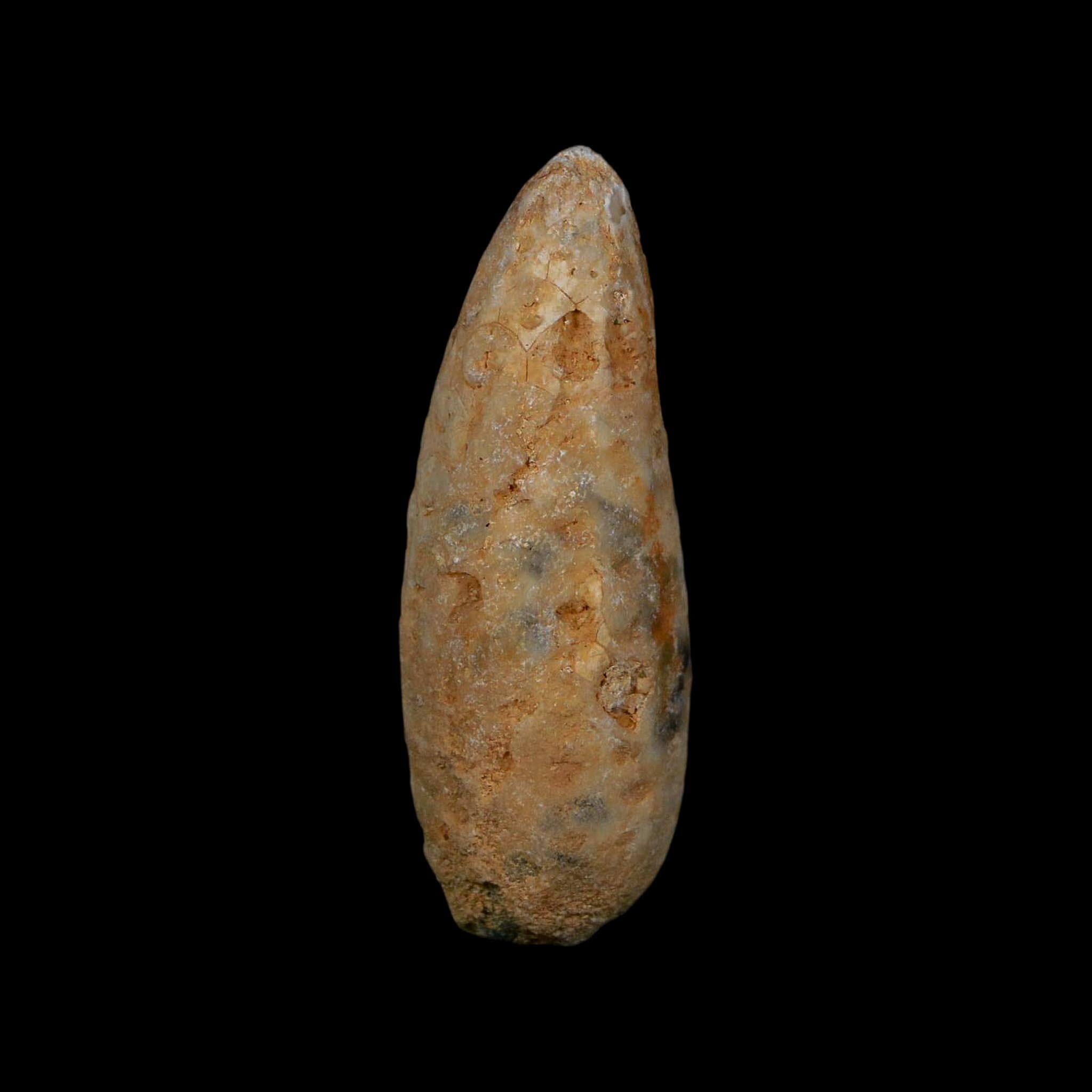 XL 2" Fossil Pine Cone Equicalastrobus Replaced By Agate Eocene Age Seeds Fruit - Fossil Age Minerals