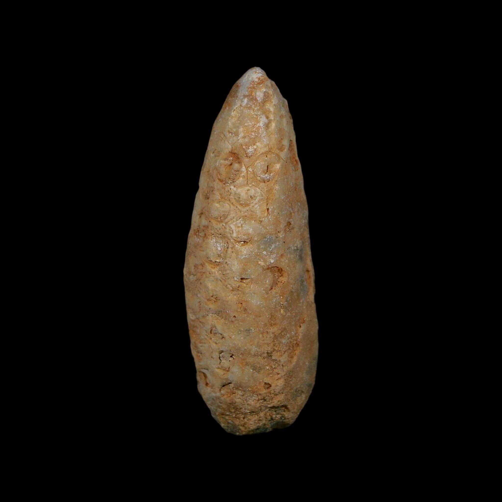 XL 2" Fossil Pine Cone Equicalastrobus Replaced By Agate Eocene Age Seeds Fruit - Fossil Age Minerals