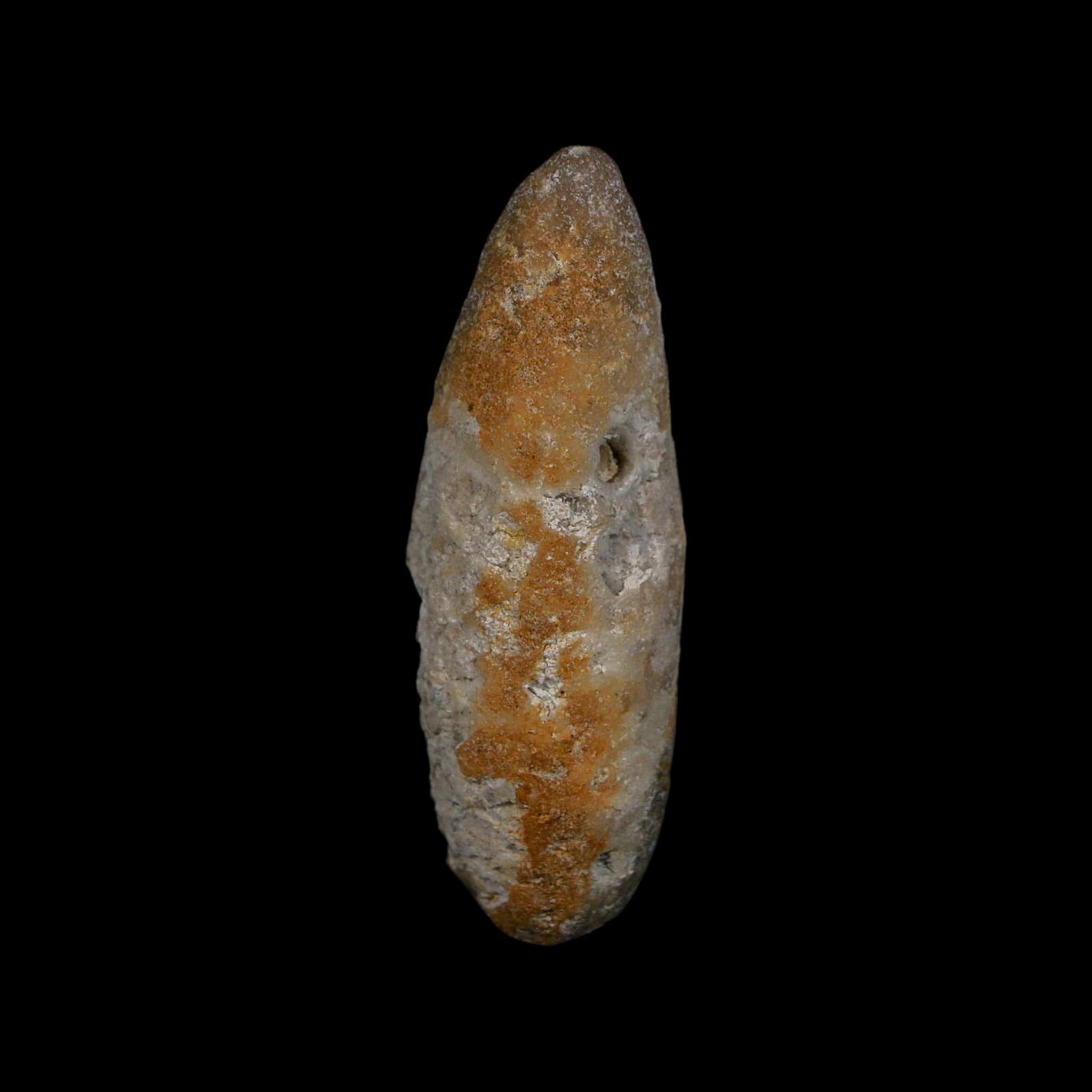 XL 2.3" Fossil Pine Cone Equicalastrobus Replaced By Agate Eocene Age Seeds Fruit - Fossil Age Minerals