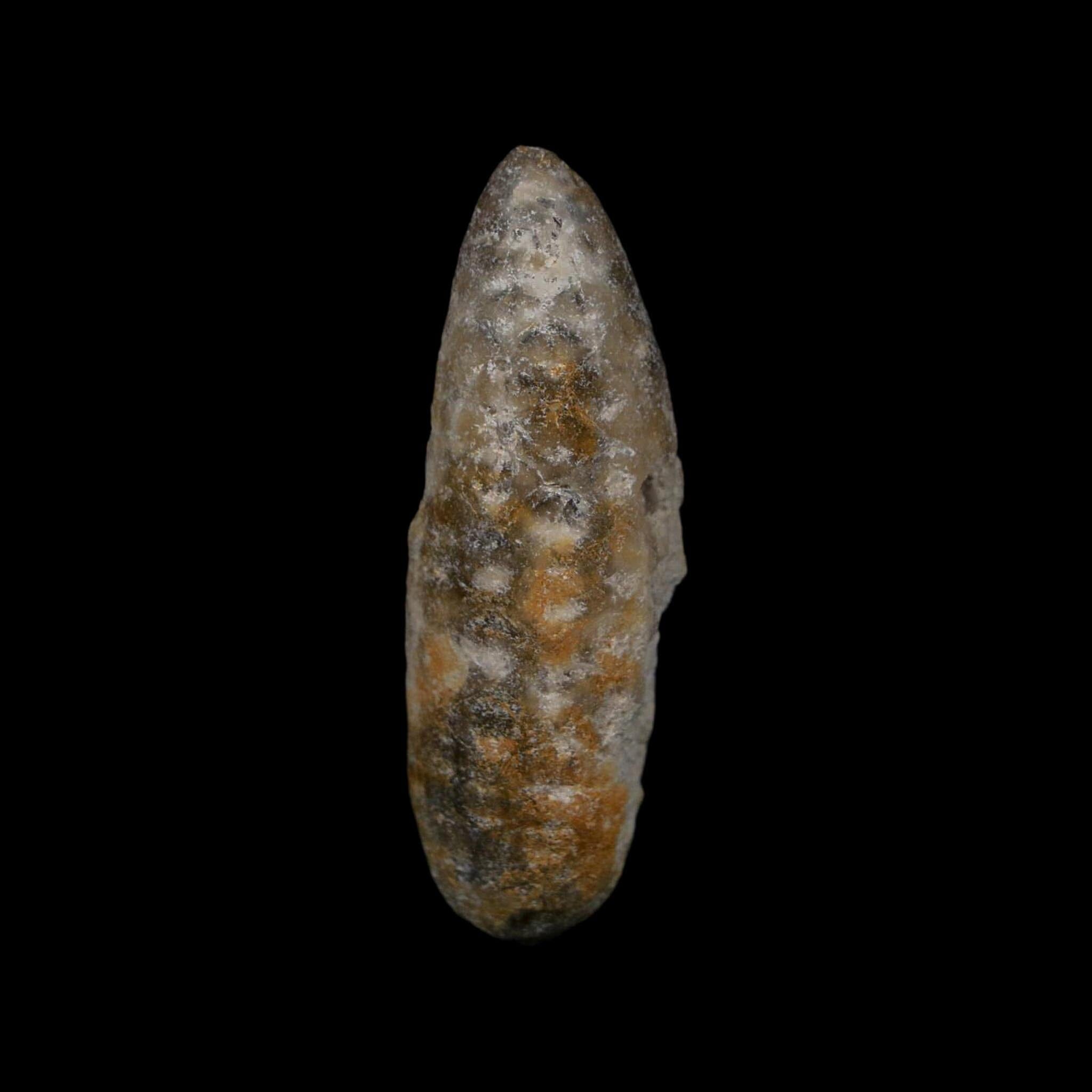 XL 2.3" Fossil Pine Cone Equicalastrobus Replaced By Agate Eocene Age Seeds Fruit - Fossil Age Minerals