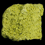 1.7" Rough Green Nontronite Mineral Specimen Jove Lauriano Minas Gerais Brazil