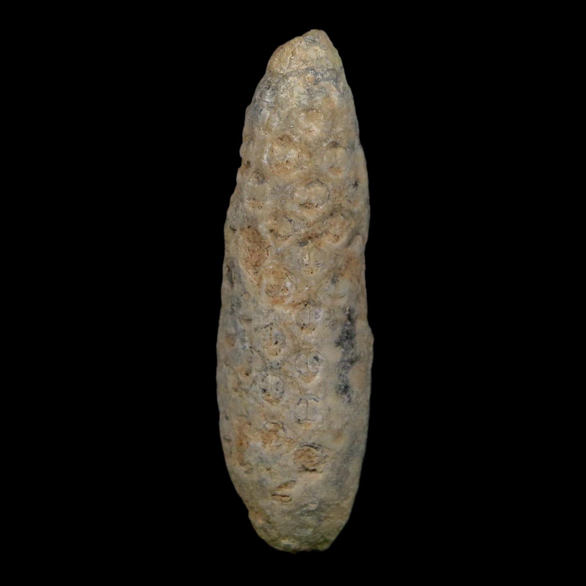 XL 2.4" Fossil Pine Cone Equicalastrobus Replaced By Agate Eocene Age Seeds Fruit - Fossil Age Minerals