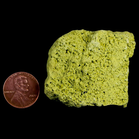 1.7" Rough Green Nontronite Mineral Specimen Jove Lauriano Minas Gerais Brazil - Fossil Age Minerals