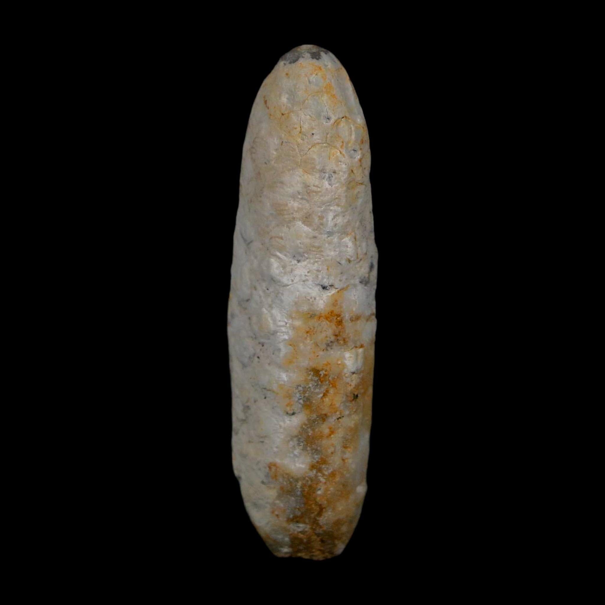 XL 2.1" Fossil Pine Cone Equicalastrobus Replaced By Agate Eocene Age Seeds Fruit - Fossil Age Minerals