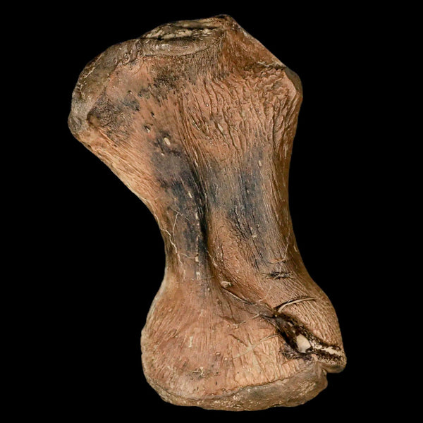 3.4