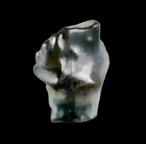 0.3" Ankylosaurus Fossil Tooth Judith River FM Cretaceous Dinosaur MT COA & Display - Fossil Age Minerals