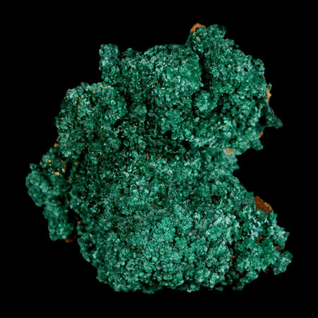 1.8" Dark Green Malachite Crystal Mineral Specimen Tiznit Province Morocco