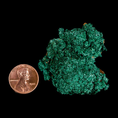 1.8" Dark Green Malachite Crystal Mineral Specimen Tiznit Province Morocco