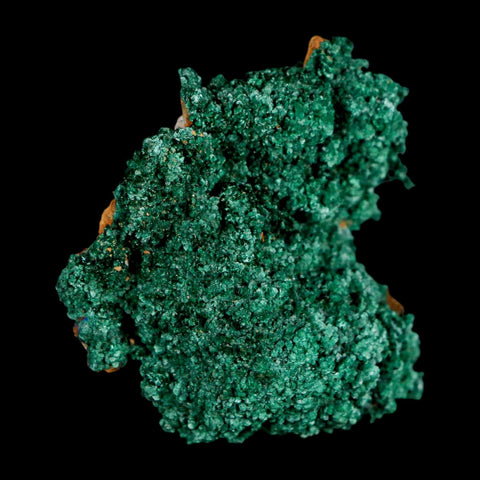 1.8" Dark Green Malachite Crystal Mineral Specimen Tiznit Province Morocco