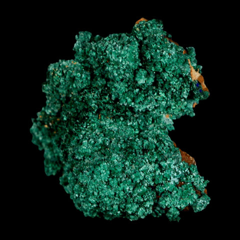 1.8" Dark Green Malachite Crystal Mineral Specimen Tiznit Province Morocco