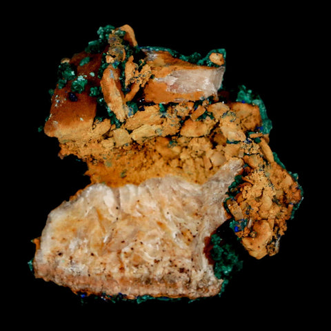 1.8" Dark Green Malachite Crystal Mineral Specimen Tiznit Province Morocco