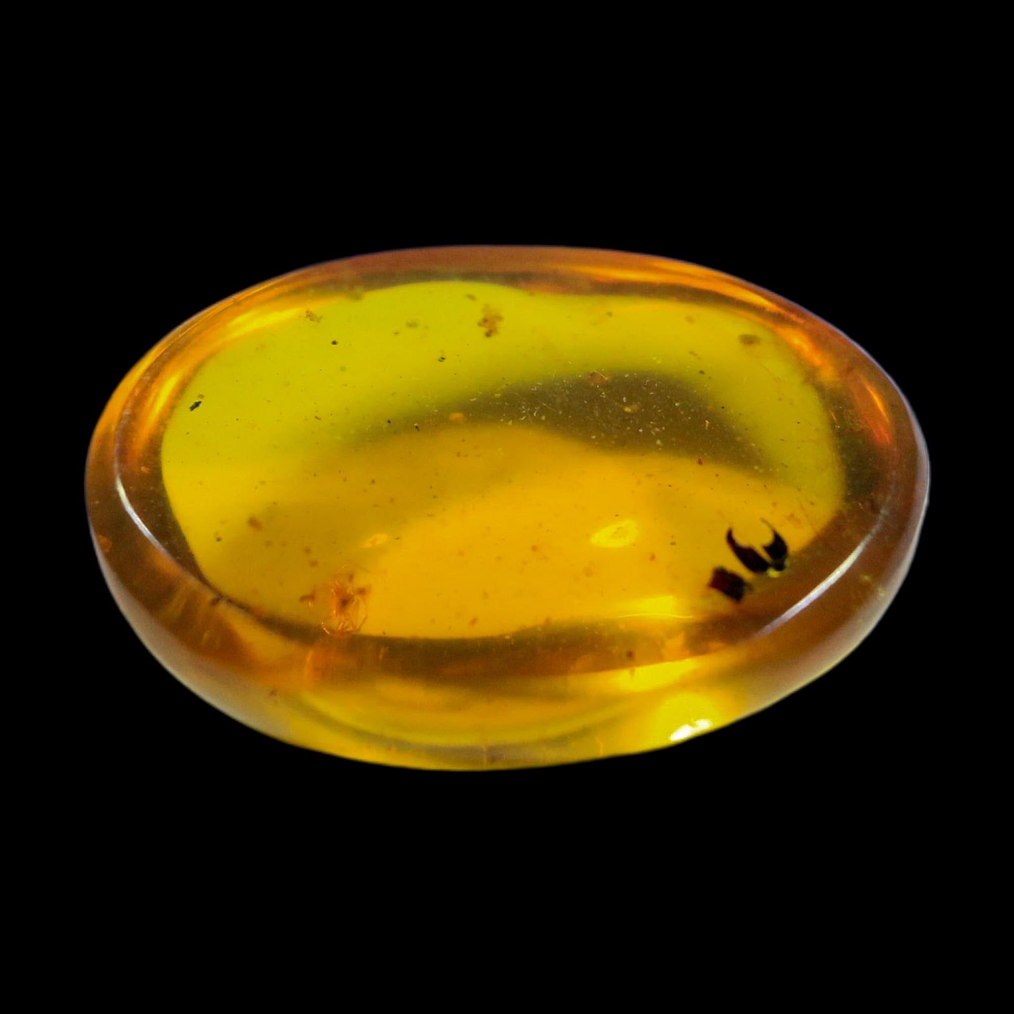 Burmese Insect Amber Arachnida Spider Fossil Burmite Cretaceous Dinosaur Age