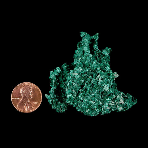 2.1" Dark Green Malachite Crystal Mineral Specimen Tiznit Province Morocco