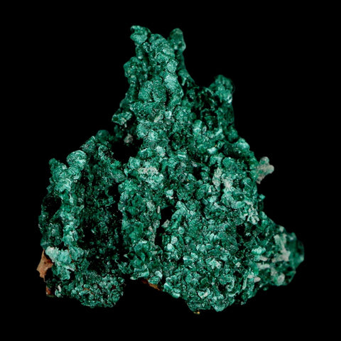 2.1" Dark Green Malachite Crystal Mineral Specimen Tiznit Province Morocco