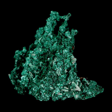 2.1" Dark Green Malachite Crystal Mineral Specimen Tiznit Province Morocco