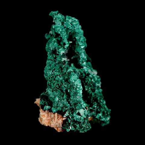 2.1" Dark Green Malachite Crystal Mineral Specimen Tiznit Province Morocco