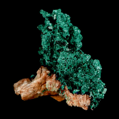 2.1" Dark Green Malachite Crystal Mineral Specimen Tiznit Province Morocco