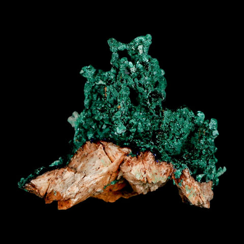 2.1" Dark Green Malachite Crystal Mineral Specimen Tiznit Province Morocco