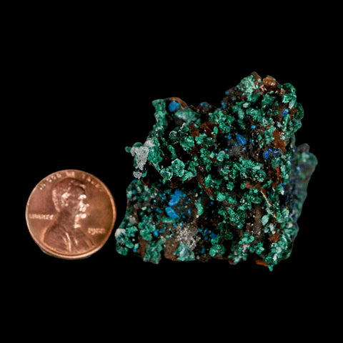 1.6" Dark Green Malachite Crystal Mineral Specimen Tiznit Province Morocco