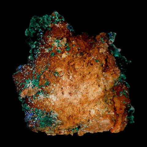 1.6" Dark Green Malachite Crystal Mineral Specimen Tiznit Province Morocco