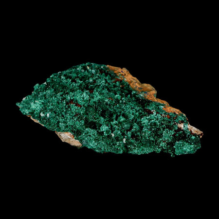 3.3" Dark Green Malachite Crystal Mineral Specimen Tiznit Province Morocco