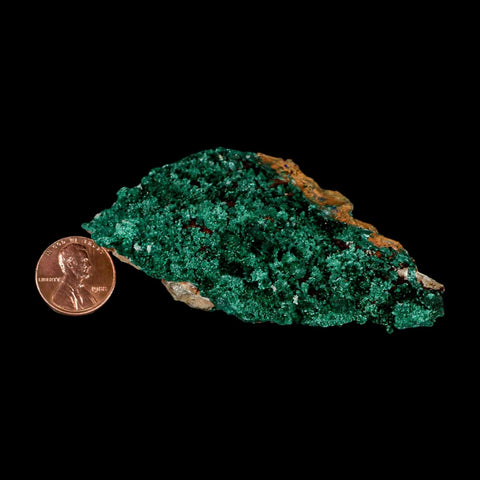 3.3" Dark Green Malachite Crystal Mineral Specimen Tiznit Province Morocco