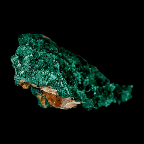 3.3" Dark Green Malachite Crystal Mineral Specimen Tiznit Province Morocco