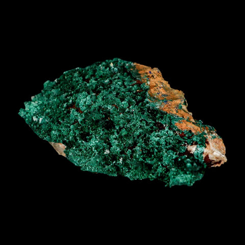 3.3" Dark Green Malachite Crystal Mineral Specimen Tiznit Province Morocco