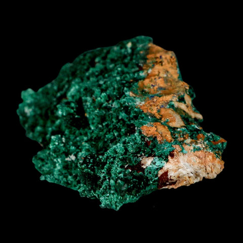 3.3" Dark Green Malachite Crystal Mineral Specimen Tiznit Province Morocco