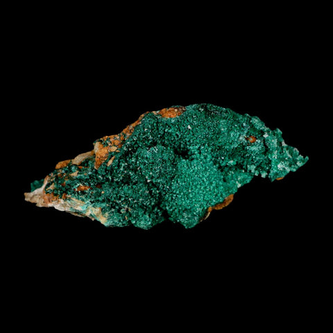 3.3" Dark Green Malachite Crystal Mineral Specimen Tiznit Province Morocco