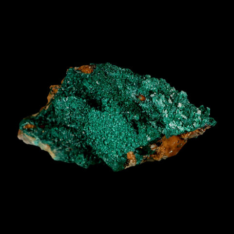 3.3" Dark Green Malachite Crystal Mineral Specimen Tiznit Province Morocco