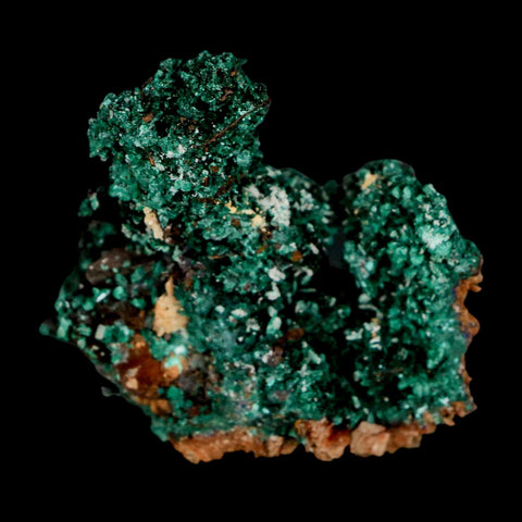 2.1" Dark Green Malachite Crystal Mineral Specimen Tiznit Province Morocco