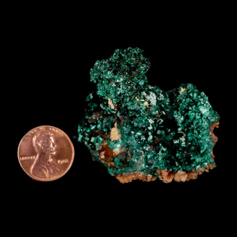 2.1" Dark Green Malachite Crystal Mineral Specimen Tiznit Province Morocco