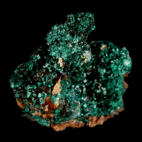 2.1" Dark Green Malachite Crystal Mineral Specimen Tiznit Province Morocco