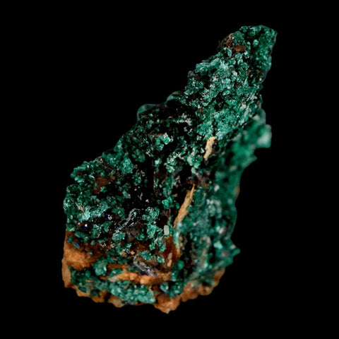 2.1" Dark Green Malachite Crystal Mineral Specimen Tiznit Province Morocco