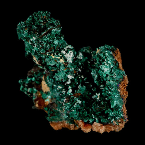 2.1" Dark Green Malachite Crystal Mineral Specimen Tiznit Province Morocco