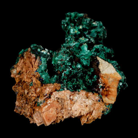 2.1" Dark Green Malachite Crystal Mineral Specimen Tiznit Province Morocco