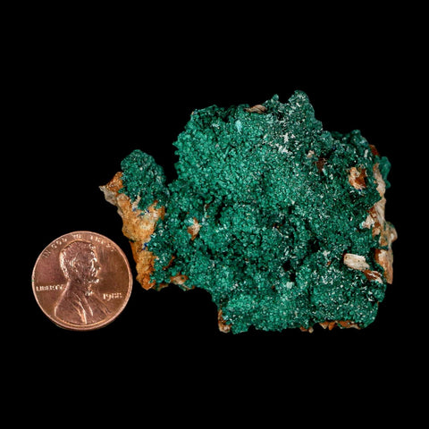 2.1" Dark Green Malachite Crystal Mineral Specimen Tiznit Province Morocco