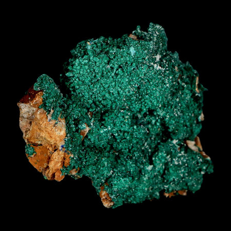 2.1" Dark Green Malachite Crystal Mineral Specimen Tiznit Province Morocco