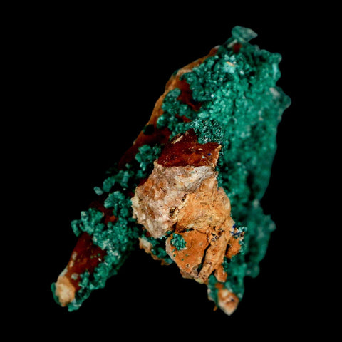 2.1" Dark Green Malachite Crystal Mineral Specimen Tiznit Province Morocco