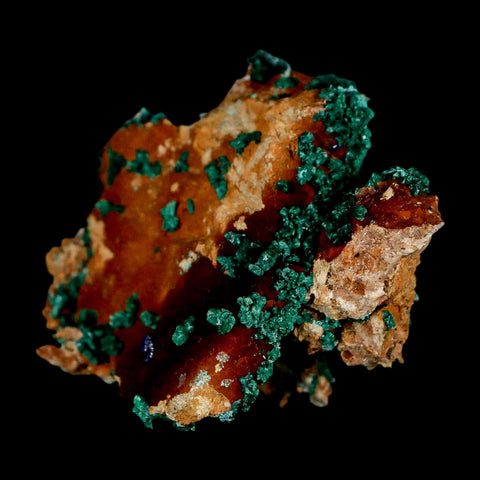 2.1" Dark Green Malachite Crystal Mineral Specimen Tiznit Province Morocco