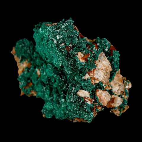 2.1" Dark Green Malachite Crystal Mineral Specimen Tiznit Province Morocco