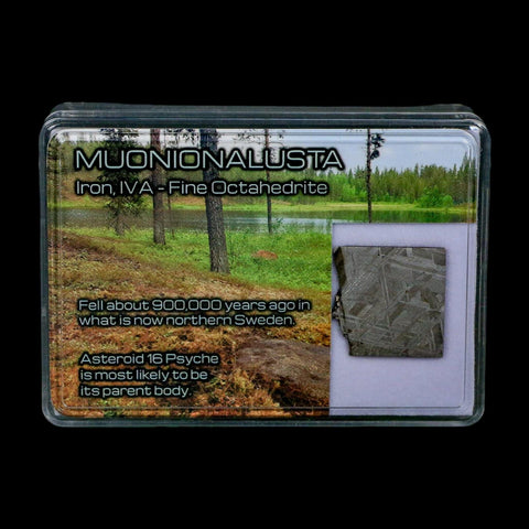 0.8" Muonionalusta Meteorite Specimen Sweden Meteorites Display 4.08 Grams - Fossil Age Minerals