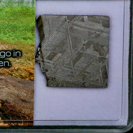 0.8" Muonionalusta Meteorite Specimen Sweden Meteorites Display 4.08 Grams