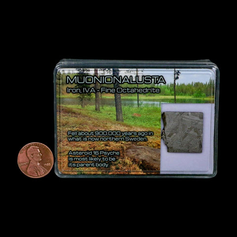 0.8" Muonionalusta Meteorite Specimen Sweden Meteorites Display 4.08 Grams - Fossil Age Minerals